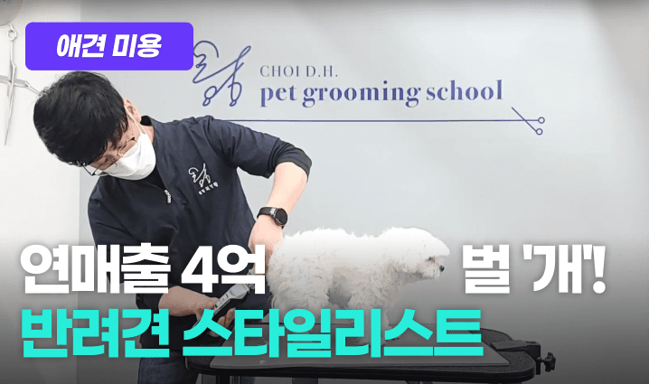 반려견 스타일리스트 프로그램 이미지