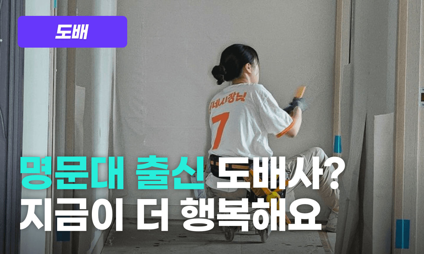 도배 프로그램 이미지